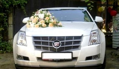 Автомобиль на свадьбу № A5418 - Транспортная компания AVTO 71
