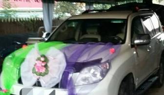 Транспортная компания Дмитрий